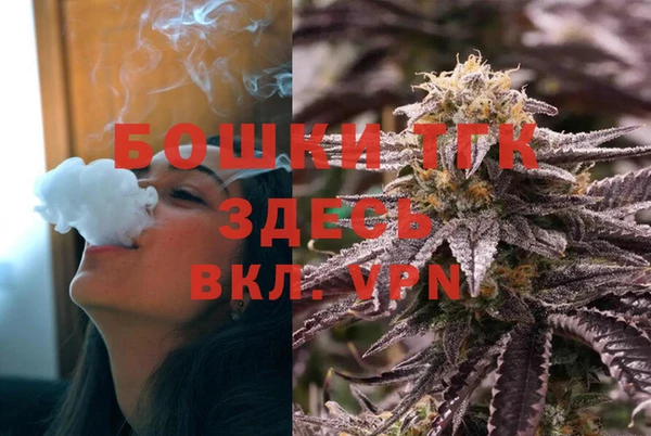 стафф Ельня
