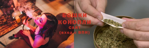 стафф Ельня