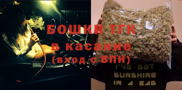 стафф Ельня