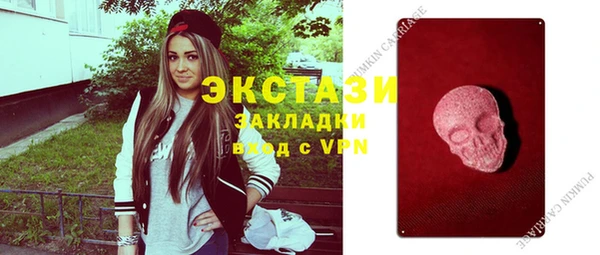 стафф Ельня