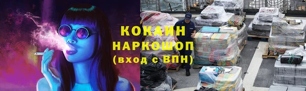 стафф Ельня