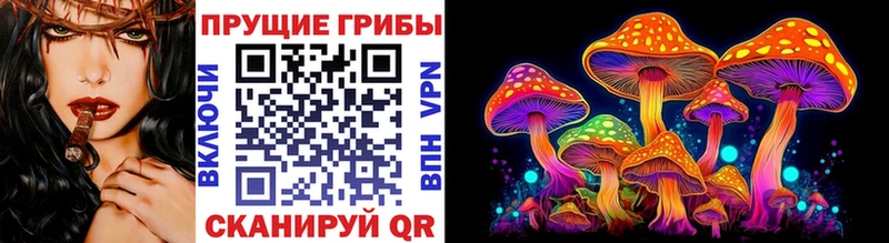 Псилоцибиновые грибы Cubensis  Купить  Кувандык 